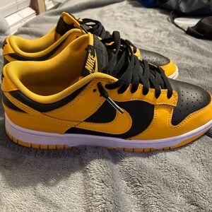Goldenrod dunks